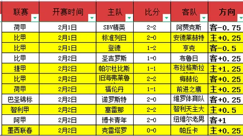 轮椅网球：亚残运赛场风采——央视体育报道
